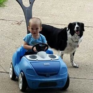 Meet your Posher, Kim